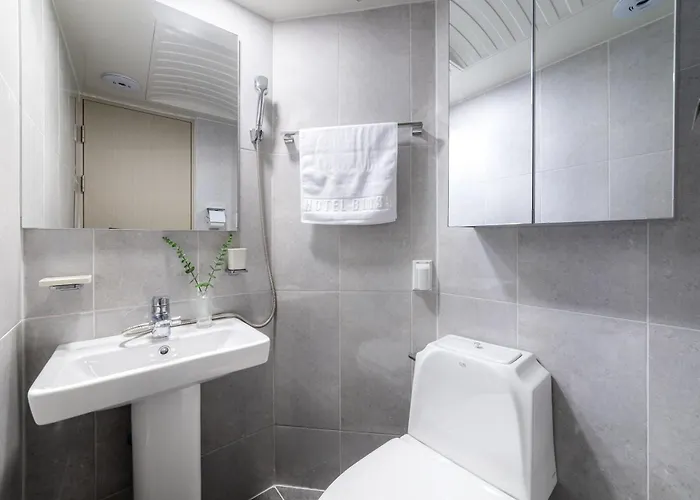 Hotel Bliss Myeongdong *